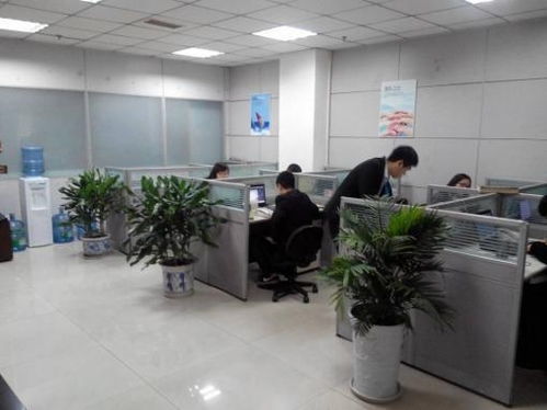 青岛梓塾投资咨询 专业经济信息咨询服务的价值与优势